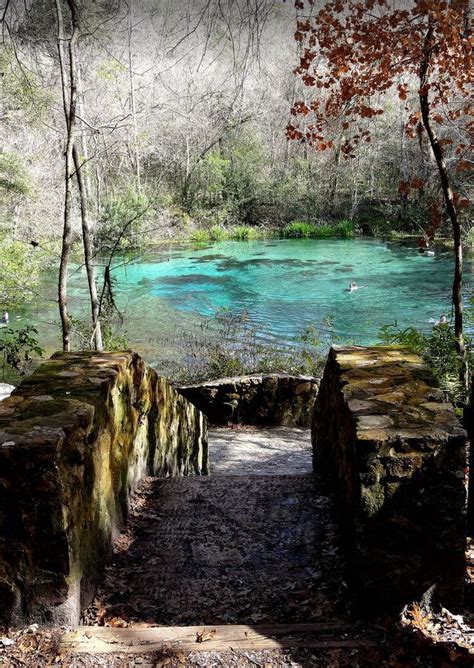 Rentals in 190 countries · liability insurance Ichetucknee Springs State Park, Florida / USA (by ...