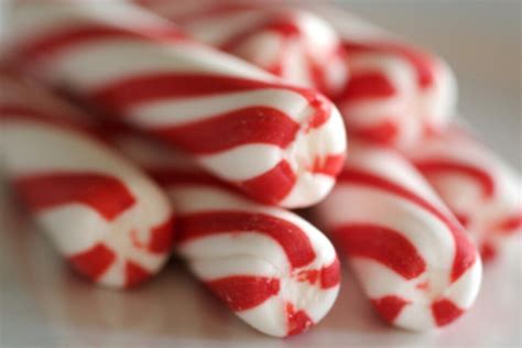 Everything You Need To Know About Peppermint