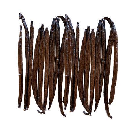 Buy Native Vanilla Grade A Tahitian Vanilla Beans Premium Gourmet