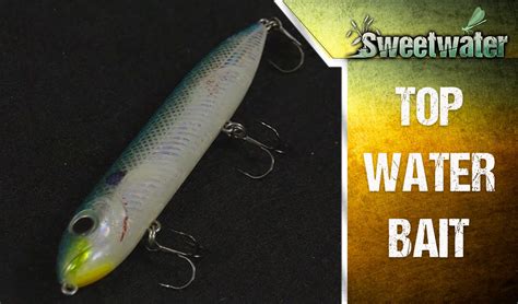 Catch More Bass On A Topwater Walking Bait Youtube