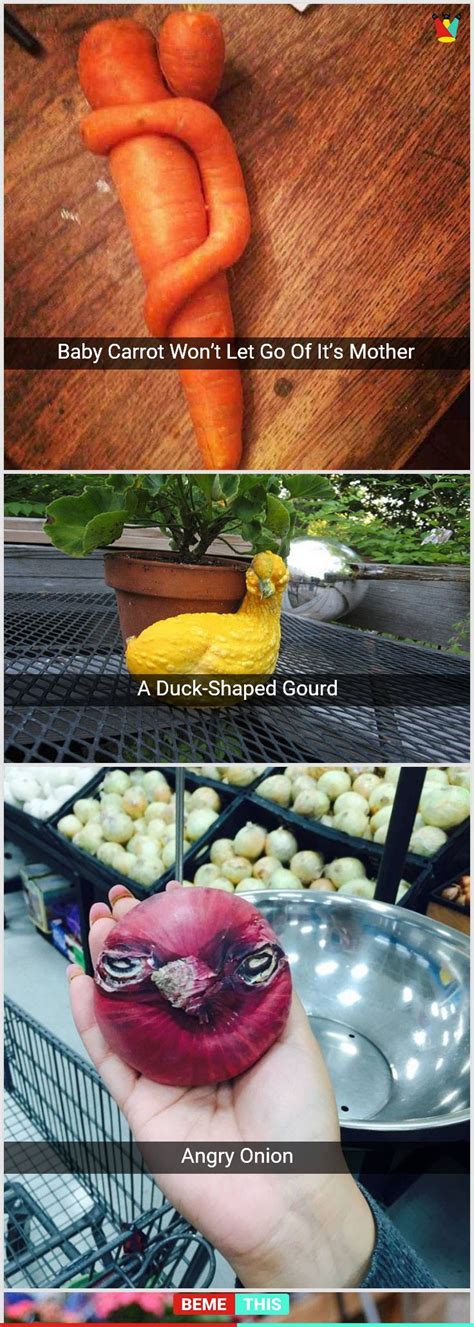 Unusual Growth Of Different Fruits And Vegetables That Makes It Look