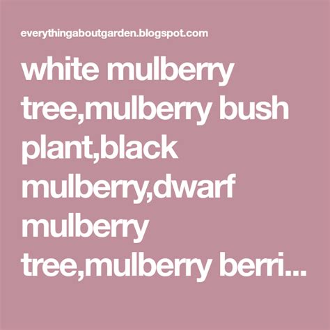 Helpful Tips How To Grow White And Black Mulberry Benefits Of