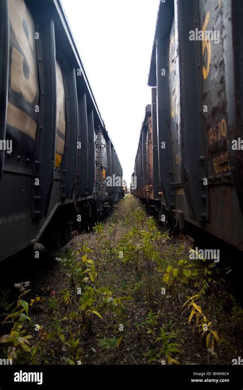 Abandoned Railroad Freight Cars Stock Photo Alamy