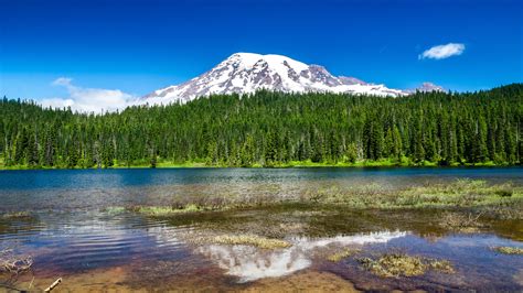 nature, Water, Mountains, Forest, Mt Rainier Wallpapers HD ...