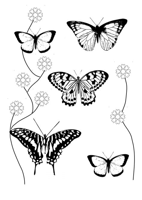 100% free spring coloring pages. Butterfly Coloring Pages