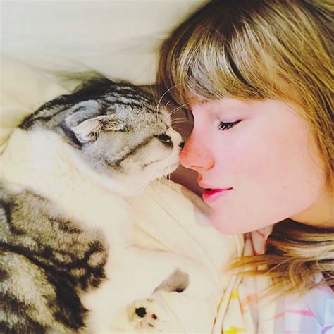 Taylor Swift And Her Cats