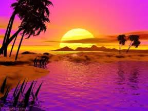 Sunset Beach Animated Desktop Background Sunset