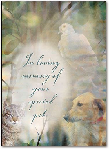 Sympathy Dove Folding Card SmartPractice Veterinary