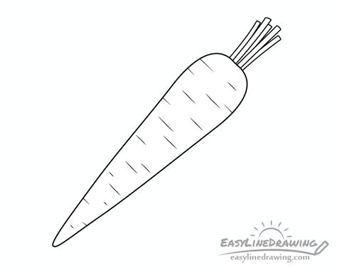 How To Draw A Carrot Step By Step Easylinedrawing