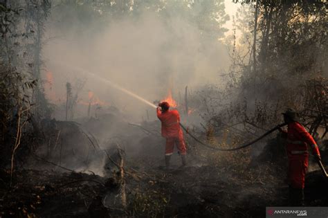 Waspadai Kebakaran Hutan Dan Lahan Di Kalimantan ANTARA News