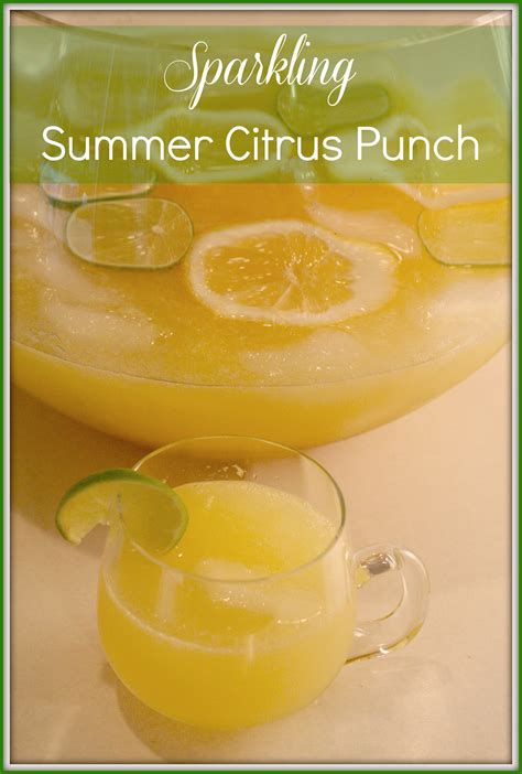Sparkling Summer Citrus Punch Recipe Wisconsin Mommy