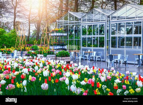 Magical Spring Landscape Fabulous Keukenhof Garden Colorful Spring