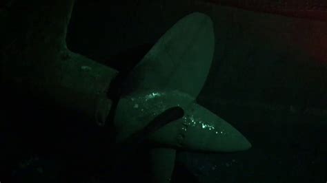 As of 2017, queen mary 2 was the only ocean liner (as opposed to a cruise ship) still in service. The Queen Mary's Hull & Propeller Box - YouTube