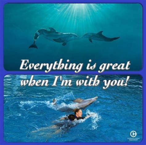 Here, we have the hideous moray eel. Everything is great when I'm with you | Dolphin tale, Clearwater marine aquarium, Dolphin quotes