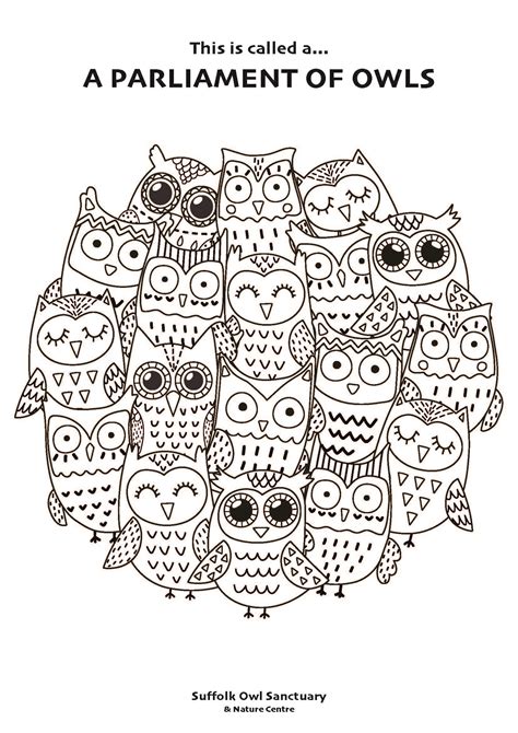 Owl Colouring In Activity Sheet