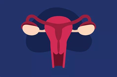Kesehatan Reproduksi Perempuan Mengenal Penyebab Pendarahan Vagina My