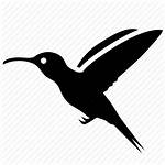 Bird Icon Colibri Flying Icons Nature Iconfinder