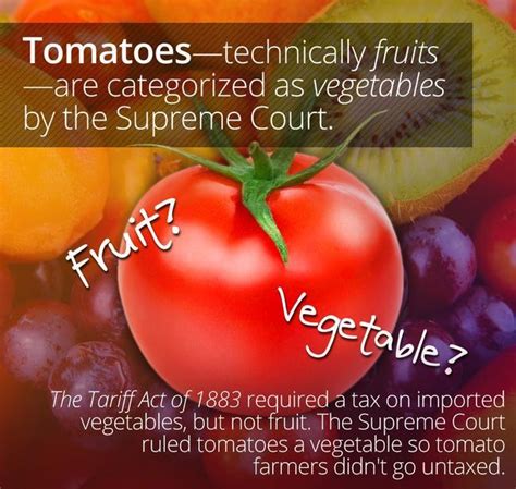 Tomato A Vegetable Or Fruit Chef Ashish Chef Ashish Singh Chandel