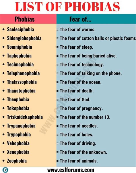 What Phobia Do You Have Out Of These Read Desc In 2020