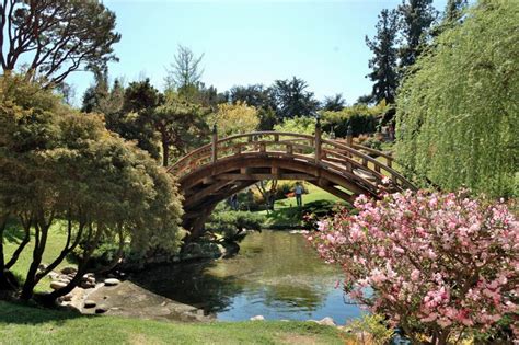10 Parks And Gardens To Visit In Los Angeles