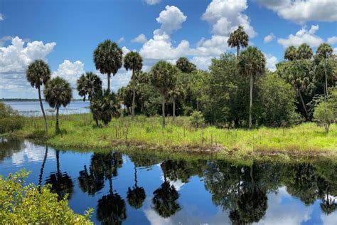 Explore Myakka River State Park Authentic Florida
