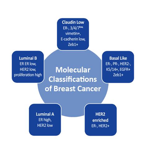 Breast Cancer Pathophysiology Oncology Nursing Series