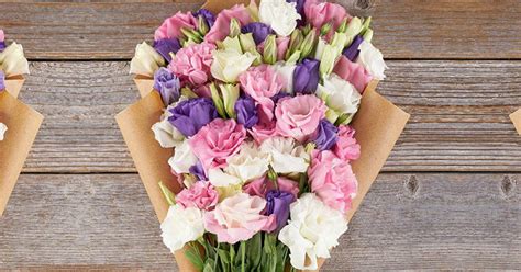Farm Fresh Flower Bouquet From The Bouqs Just 2850 Delivered 63 Value