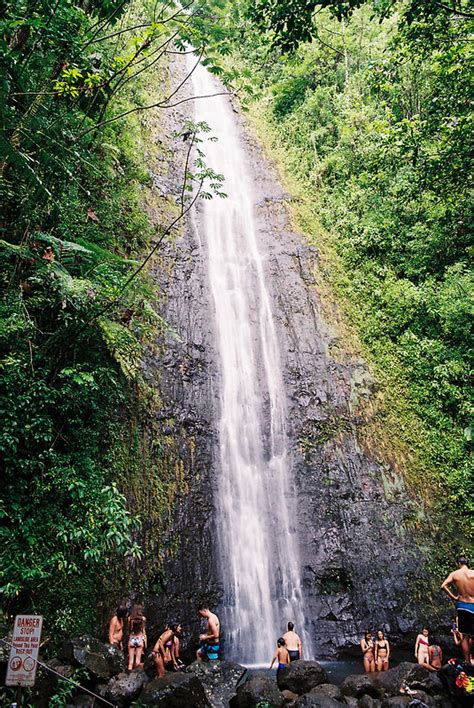 Manoa Falls Trail On Oahu Hawaii Complete Hikers Guide