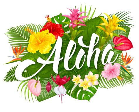 Aloha Hawaii Lettering And Tropical Plants Stock Vector Illustration