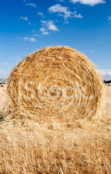 Hay Bales Stock Photo Royalty Free Freeimages