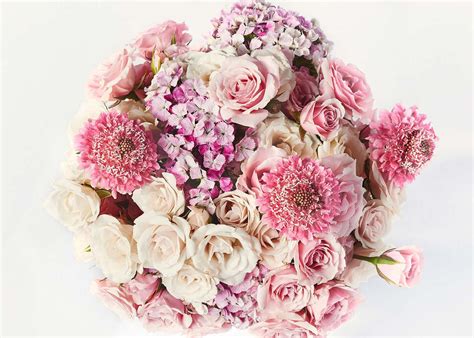 We did not find results for: letter q worksheet: Send Champagne And Flowers Melbourne ...