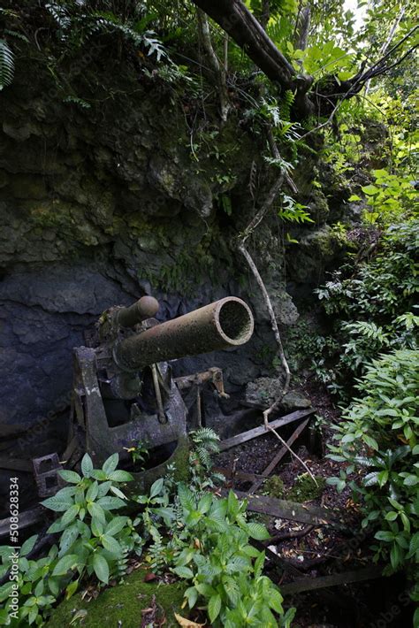 Remains Of A Japanese Artillery Gun Hidden In A Cave On Peleliu Island