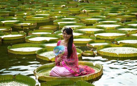 You Can Actually Sit On Giant Lily Pads In This Taipei Park Travel