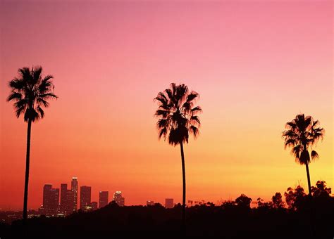 Usa California Los Angeles Skyline And Palm Trees At Sunset