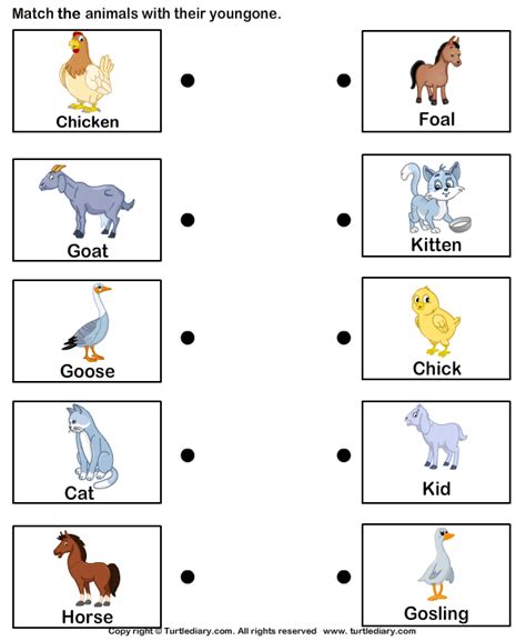 Animal Worksheet New 157 Animal Babies Worksheet