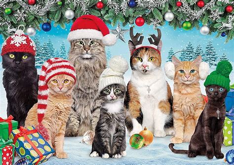Funny Cat Christmas Wallpaper