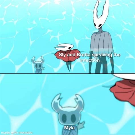 I Wanted To Save Her Hollowknightmemes Hollow Art Knight Art