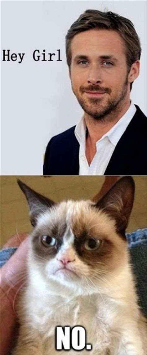 17 Best Images About Famous Grumpy Cat Memes On Pinterest Ryan