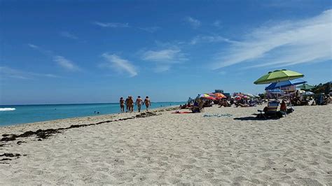 april 21 2014 a stroll along haulover beach osseous flickr