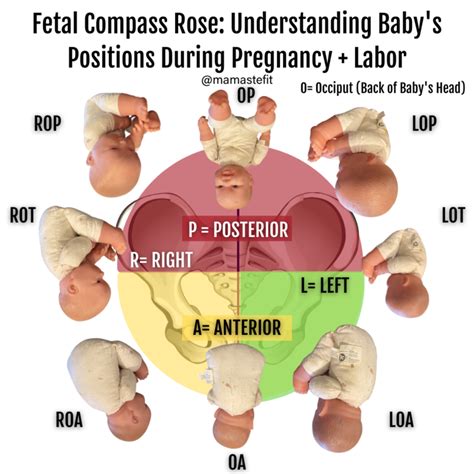 Labor Positions To Finish Pushing Help Baby Get Under The Pubic Bone