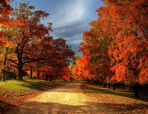 Faith Hope And Love Autumn Leaves