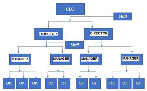 5 Organizational Structure Examples Which To Use