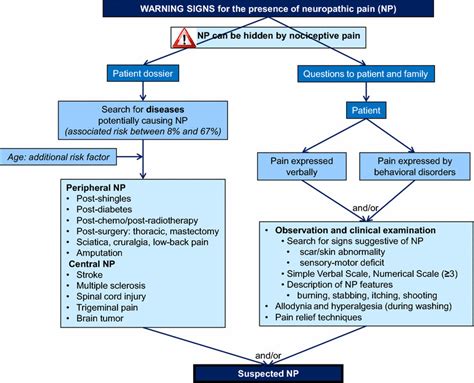 Algorithm Part 1 Detection And Diagnosis Of Neuropathic Pain