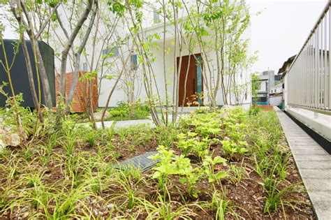 雑木のトンネルが気持ちい玄関アプローチ | 岡山の庭づくり施工実績 | 庭.pro（ニワドットプロ）