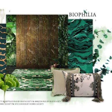 Biophilic Interior Design Mood Board