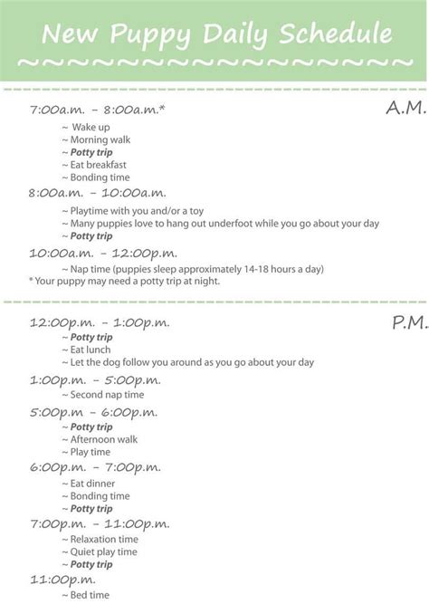 Sample 10 month old schedule. Puppy Training Schedule: Teaching Your Pup How to Grow Up