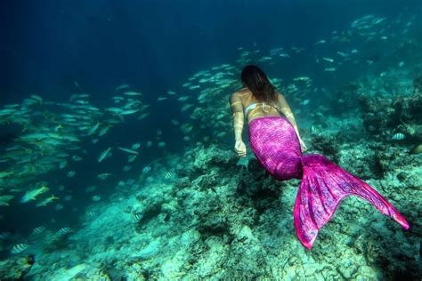 Real Mermaids Are Not Scared Of Shallow Reefs 🧜‍♀️ Photo Credit Ilona