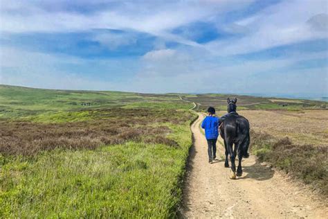 Join A Fun Short Equestrian Break In Wales Equus Journeys