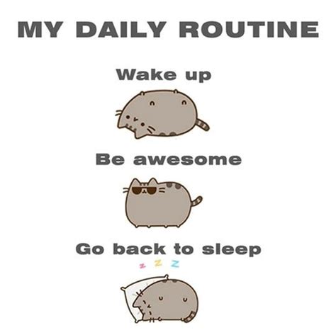 Ladies And Gentlemen My Daily Routine Daily Routine Pusheen Funny
