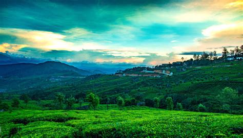 13 Gorgeous Hill Stations Near Kollam To Visit In 2023
